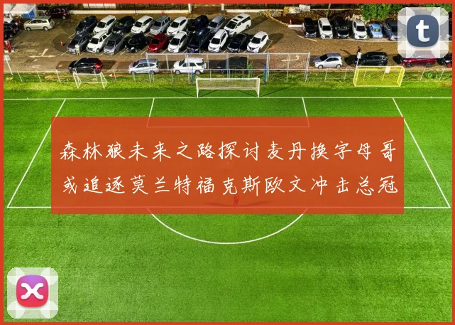 森林狼未来之路探讨麦丹换字母哥或追逐莫兰特福克斯欧文冲击总冠军